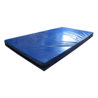 Мат гимнастический 100x200x10 см тентовая ткань 630 (без поролона) (Арт. 10021)